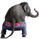 heroelephant