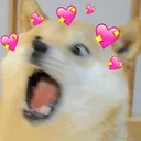 dankheart