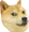 sodoge