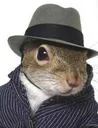 secret_squirrel