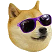 CoolDoge