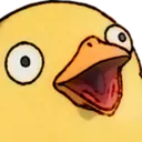 XD