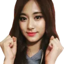 twicetzuyu_fighting
