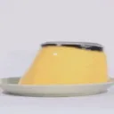 pudipudi