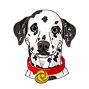 gfuelCooper