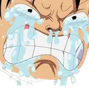 luffycry