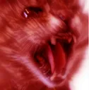 yamero