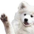 KKwaveboi