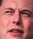 elonwtf