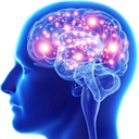 421790119549468683.png?v=1