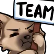 lilleTeam