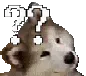 confusedoggo