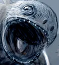 aaaanurognathus
