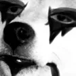 joomDEATHWALKSAMONYOU