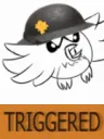 triggeredowl