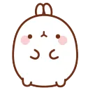 MolangFlip MolangFlip