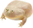 itswednesday