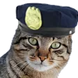 catpolice