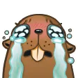 guyjudgeCry