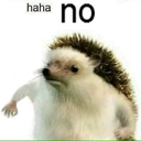 hahano Discord emoji