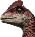 Guanlong