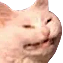 reecat
