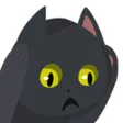 NotLikeThisCat NotLikeThisCat