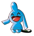 wynaut