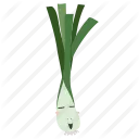 leek