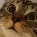 ghlGASP