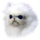 DAN DAN