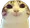 happycat