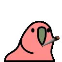 ayylmaohigh ayylmaohigh