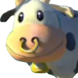 usedCow usedCow