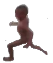 Patrick_Run