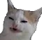 ew
