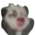 rooHparpo