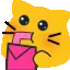 tmeowsip