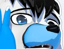 rufwhy