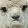 SadLlama