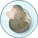 MFbubble Discord emoji