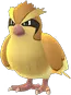 pidgey