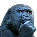 thinkos