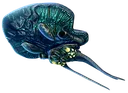 sn_reefback_icon