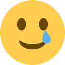 fakesmile