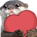 ottrlove