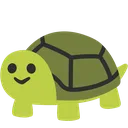 turt