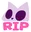 kitty_rip Discord Emoji