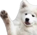 WaviestBOYE WaviestBOYE