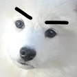 BipolarBOYE